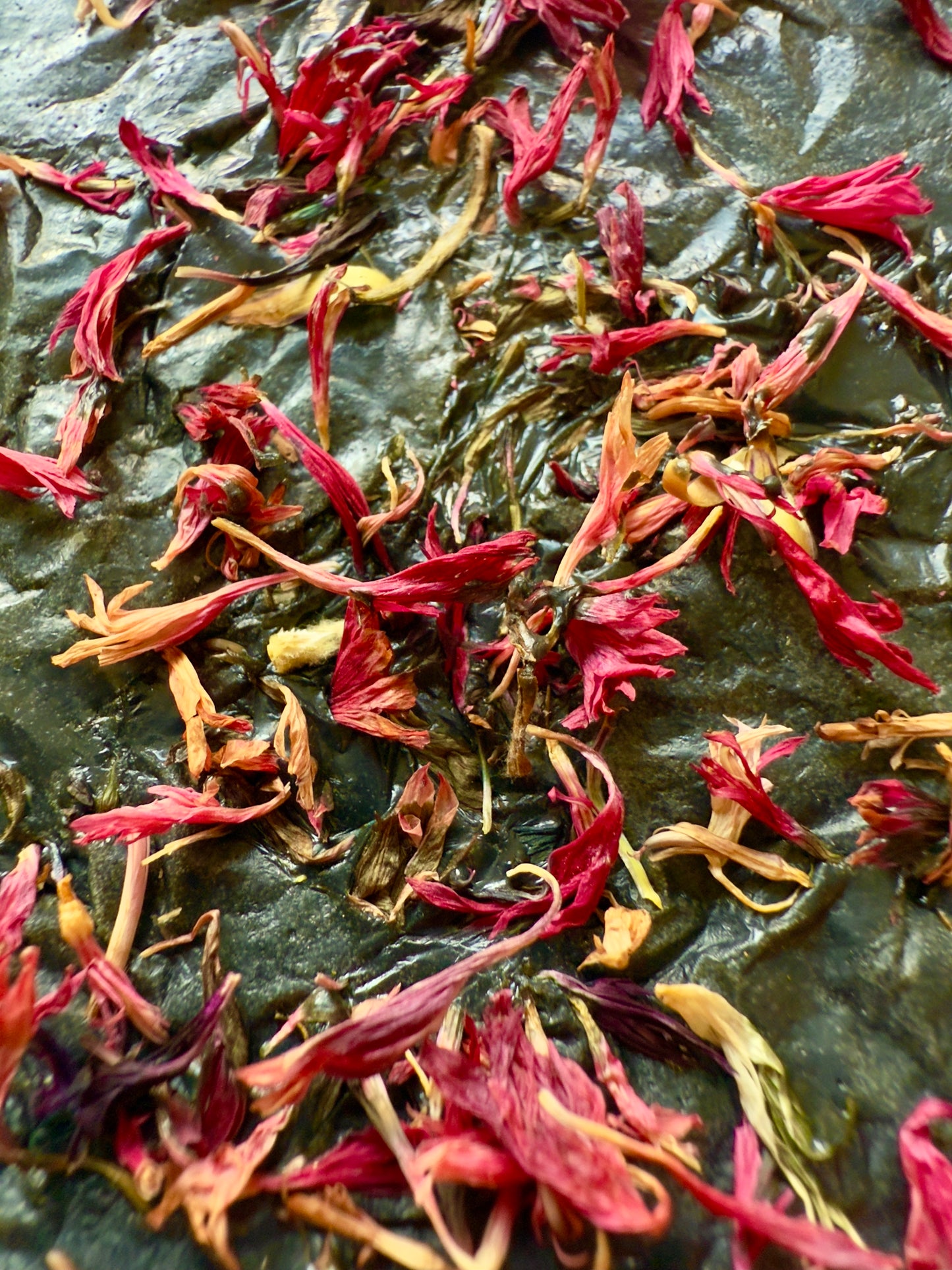 Dark green rectangular soap bar topped with bright pink cornflower petals, shown on a smooth stone-textured background.