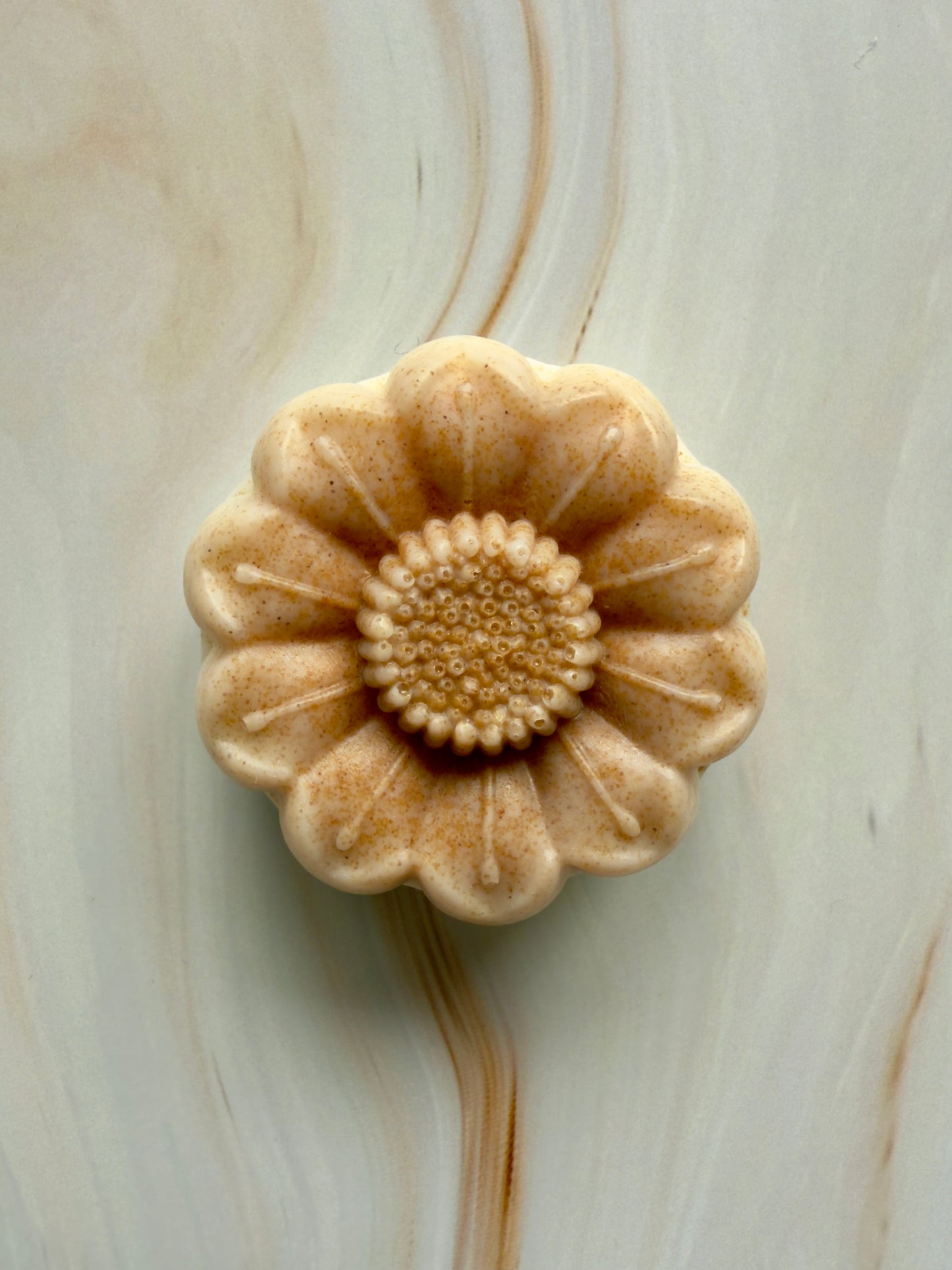 Driftwood + Silk – Small Batch Coconut Soap | Coastal Mineral + Soft Musk