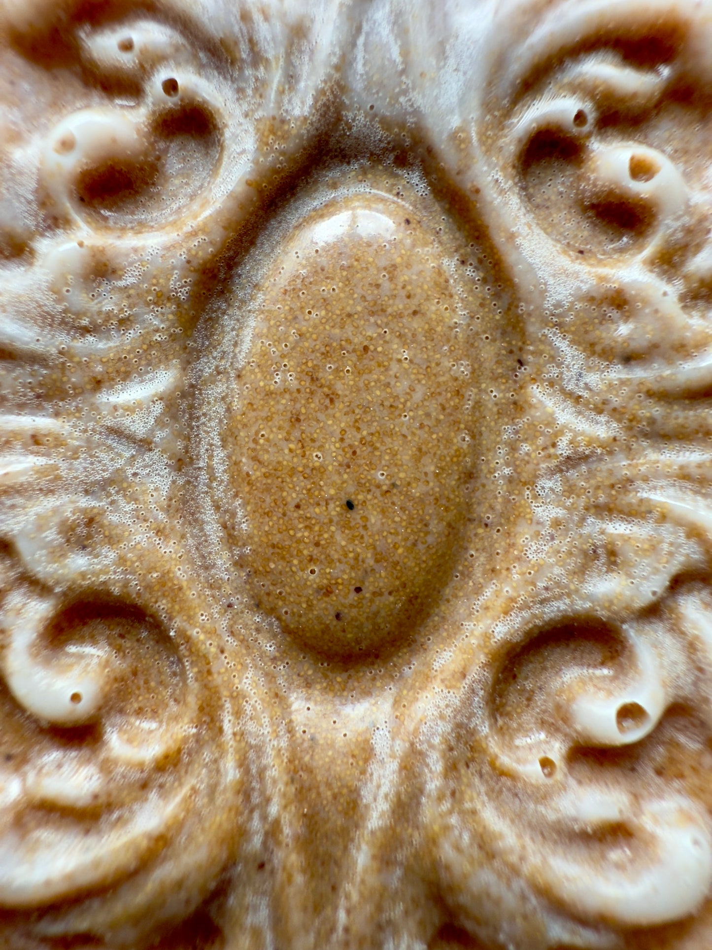 Driftwood + Silk – Small Batch Coconut Soap | Coastal Mineral + Soft Musk