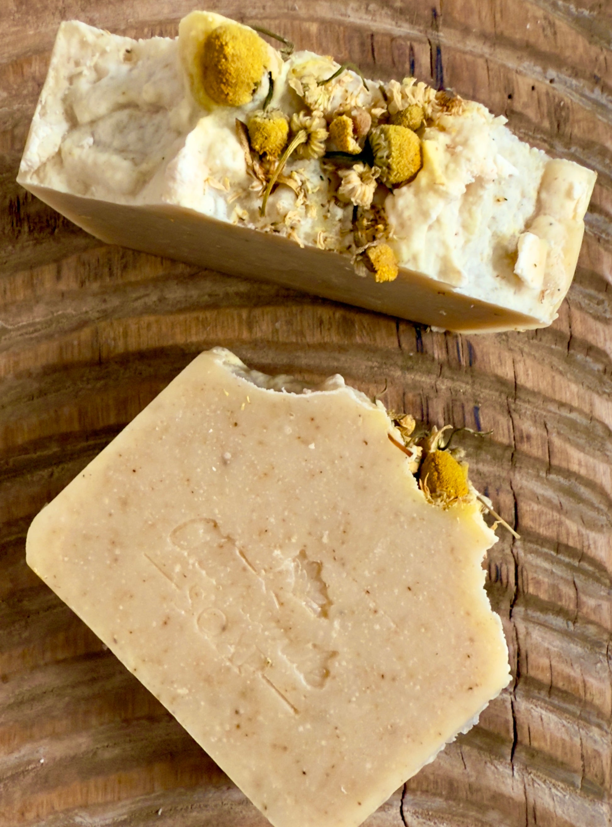 Chamomile cold process soap with a soft natural tone, speckles throughout, and whole chamomile blossoms on top.