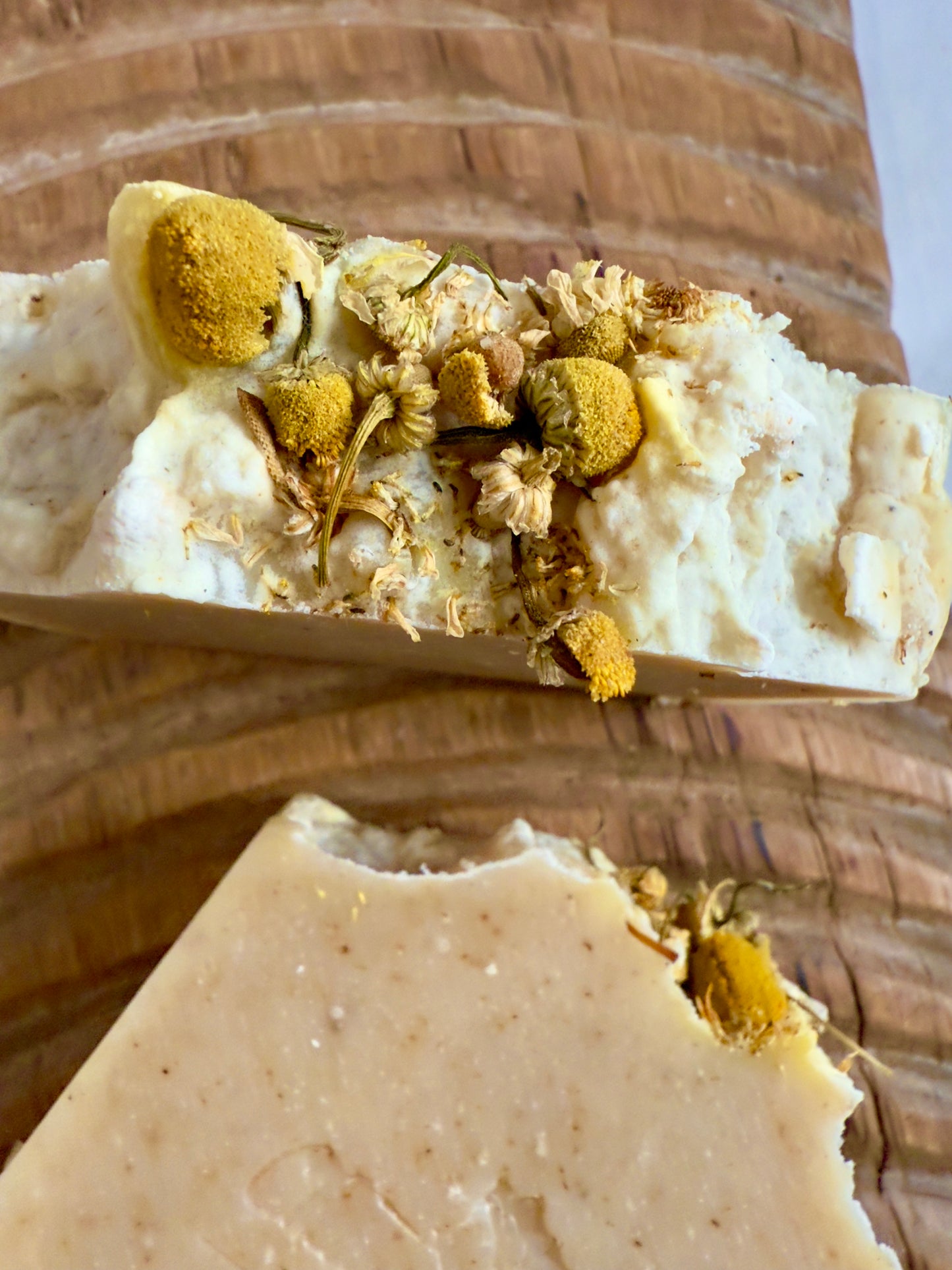 Chamomile cold process soap with a soft natural tone, speckles throughout, and whole chamomile blossoms on top.