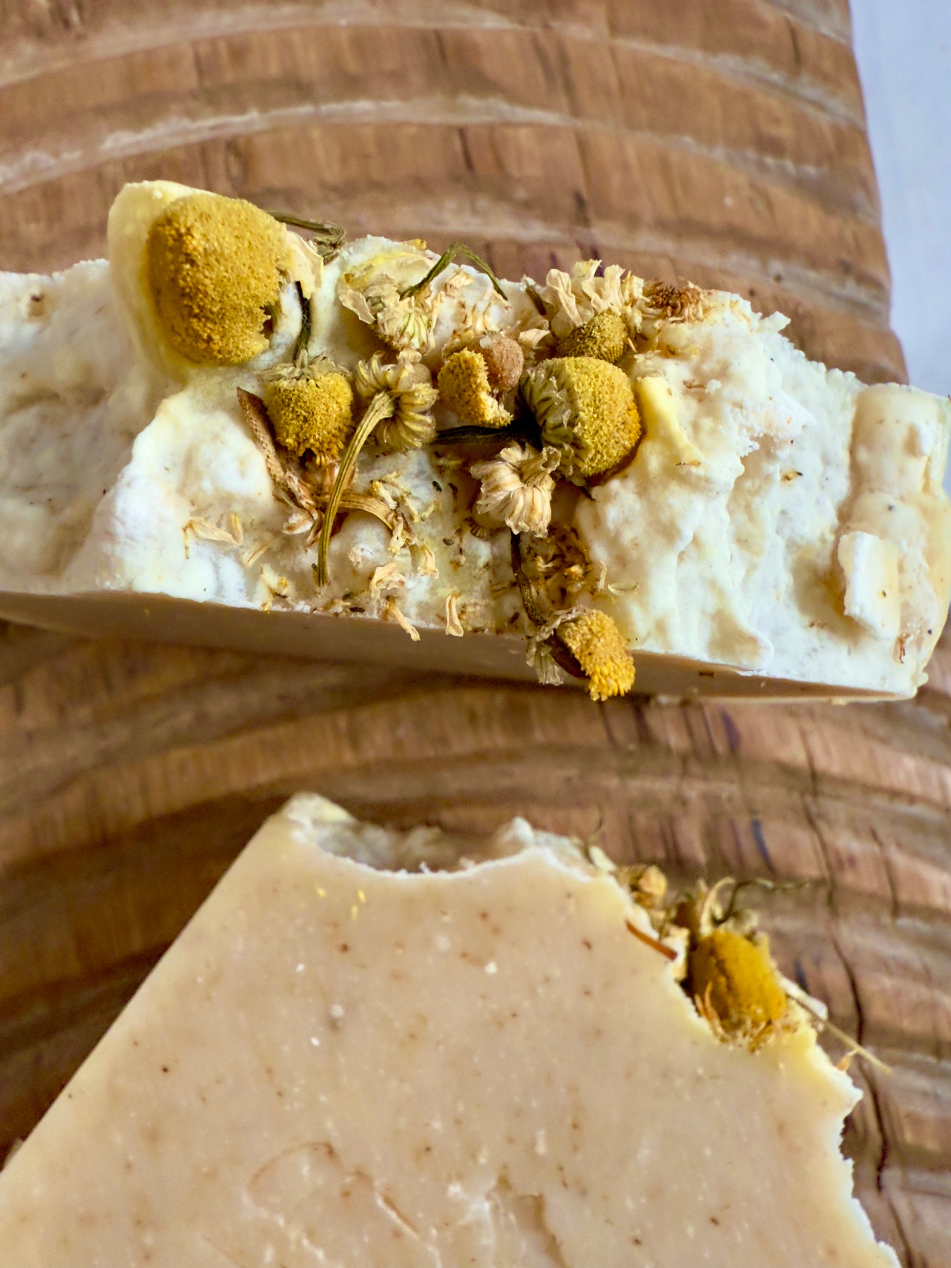 Chamomile cold process soap with a soft natural tone, speckles throughout, and whole chamomile blossoms on top.