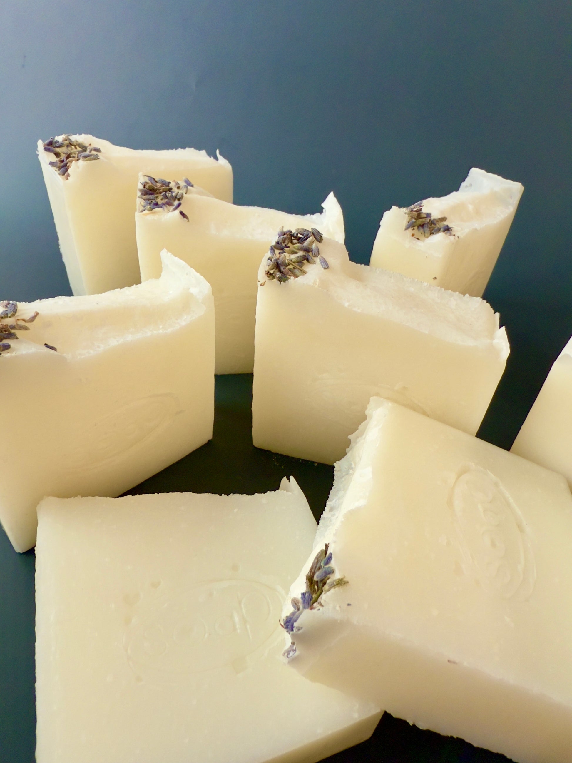 Creamy white tallow soap bars with lavender buds on top, arranged against a dark background.