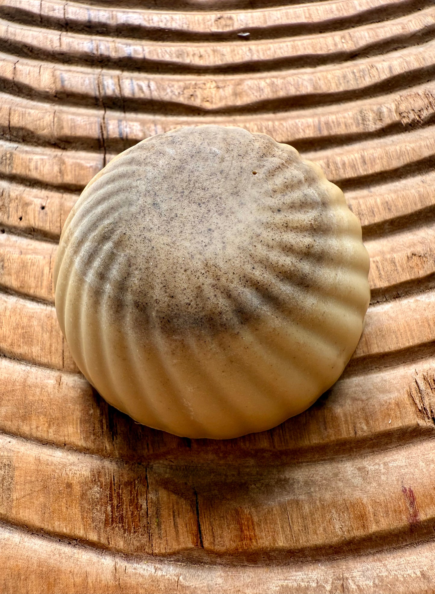 Second Press – Small Batch Beef Tallow Soap | Loofah-Backed + Softly Spiced