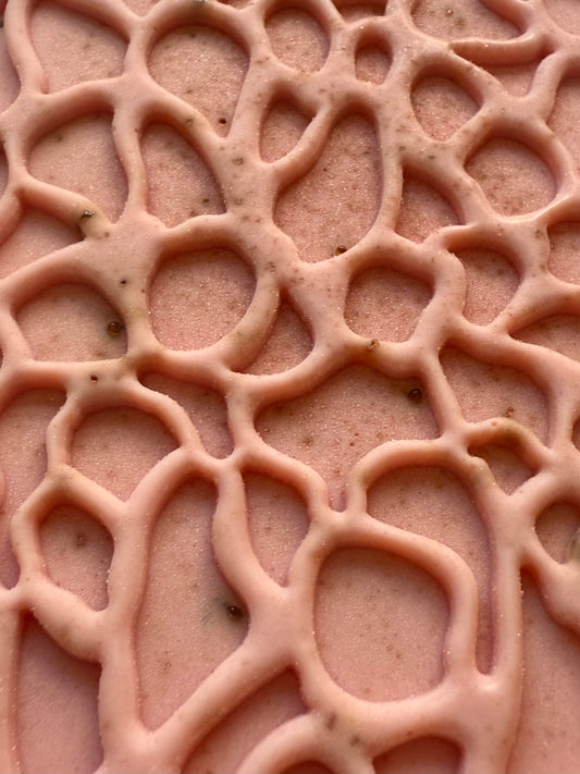Peach Patrol – Small Batch Soy Milk Soap | Creamy Amber + Peach Infusion