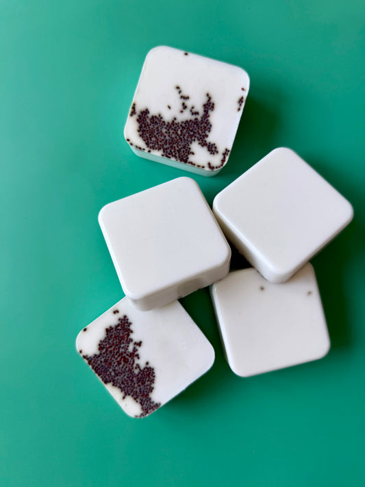 Seed for Yourself – Small Batch Sheep Milk Soap | Unscented with Gentle Texture